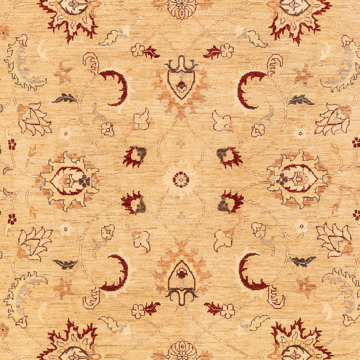 Tappeto Ziegler - 383 x 271 cm - beige