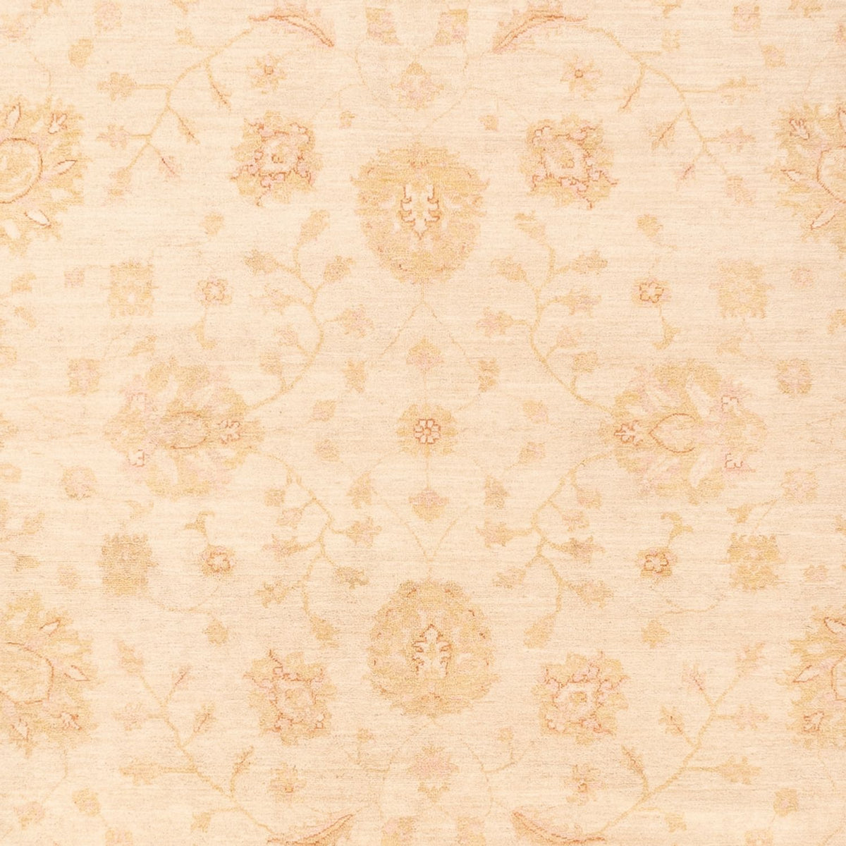 Tappeto Ziegler - 365 x 270 cm - beige
