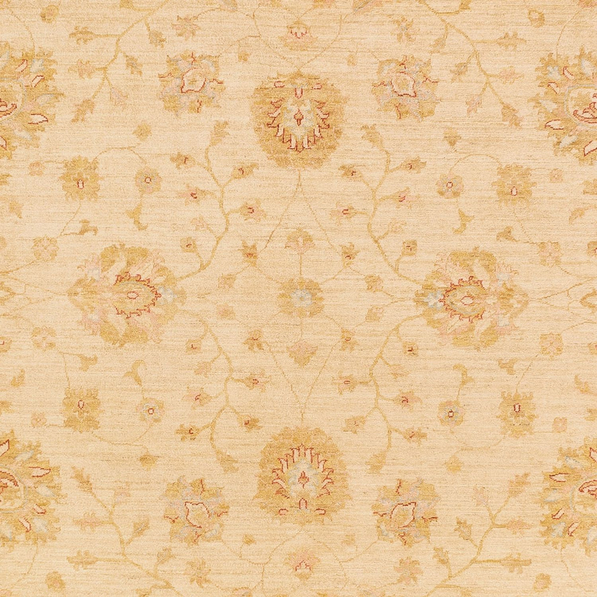Tappeto Ziegler - 365 x 273 cm - beige