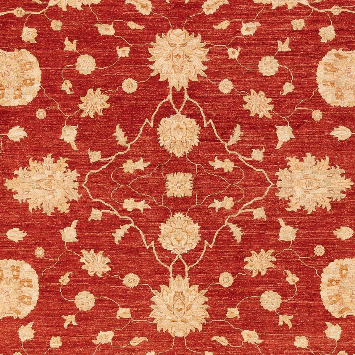 Tappeto Ziegler - 360 x 268 cm - rosso