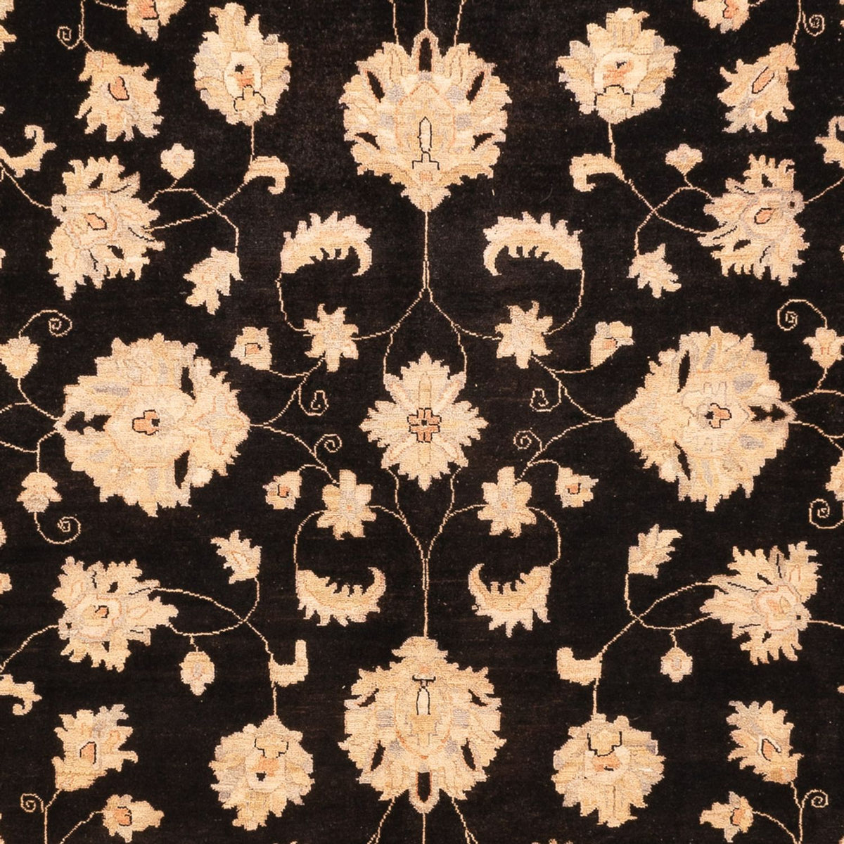 Tappeto Ziegler - 360 x 276 cm - nero