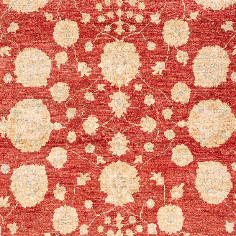 Tappeto Ziegler - 210 x 152 cm - rosso