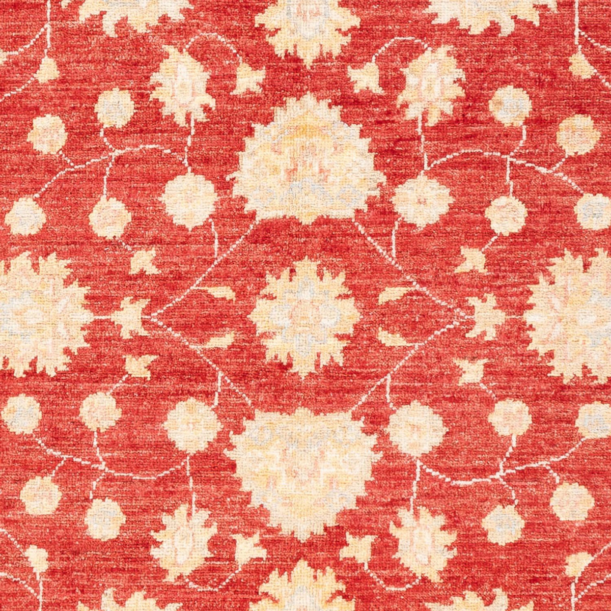 Tappeto Ziegler - 177 x 126 cm - rosso
