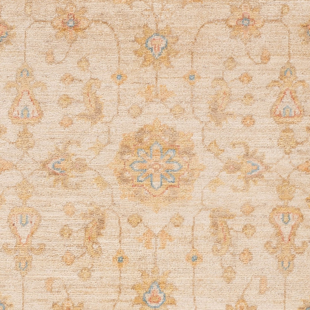 Tappeto Ziegler - 154 x 99 cm - beige