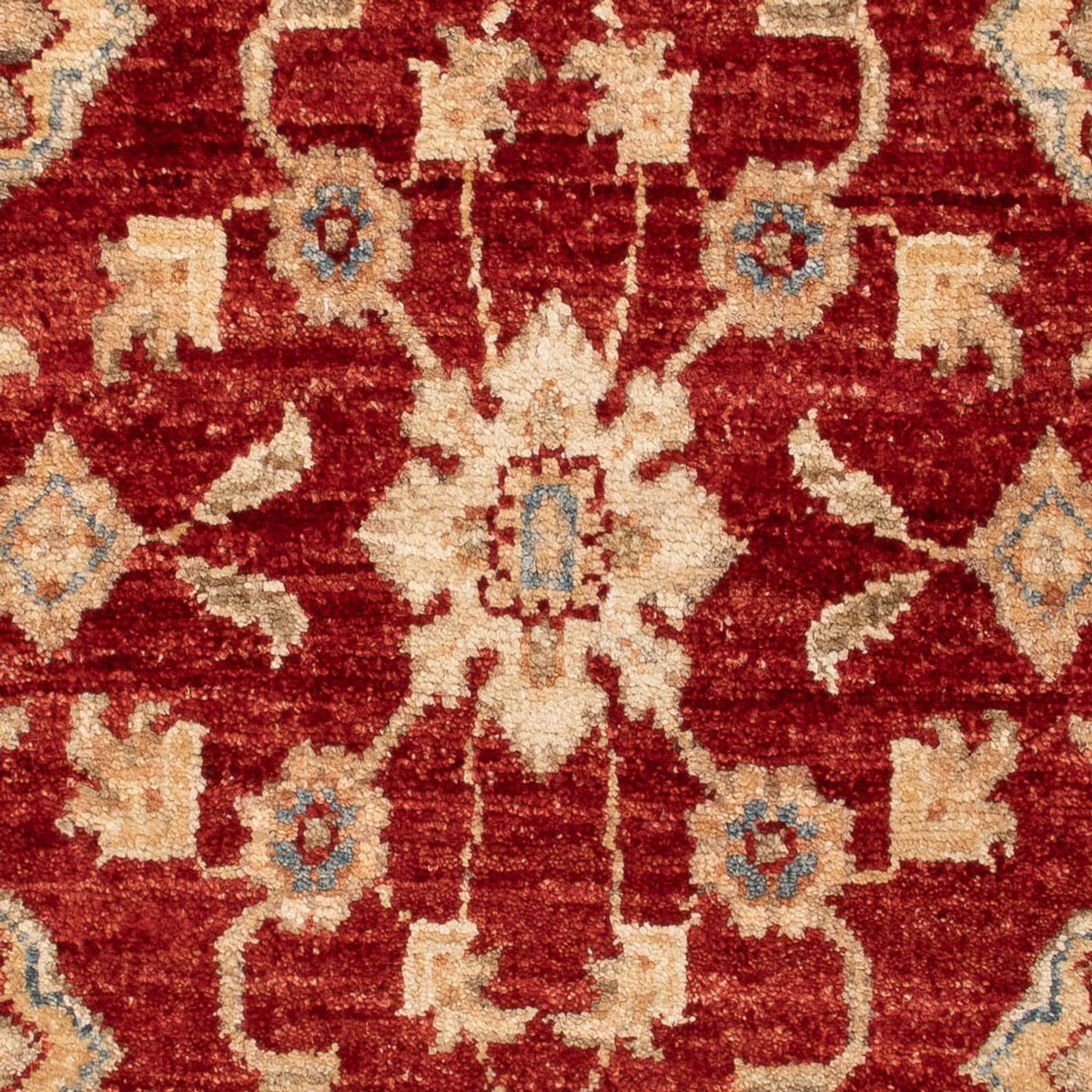 Tappeto Ziegler - 114 x 70 cm - rosso