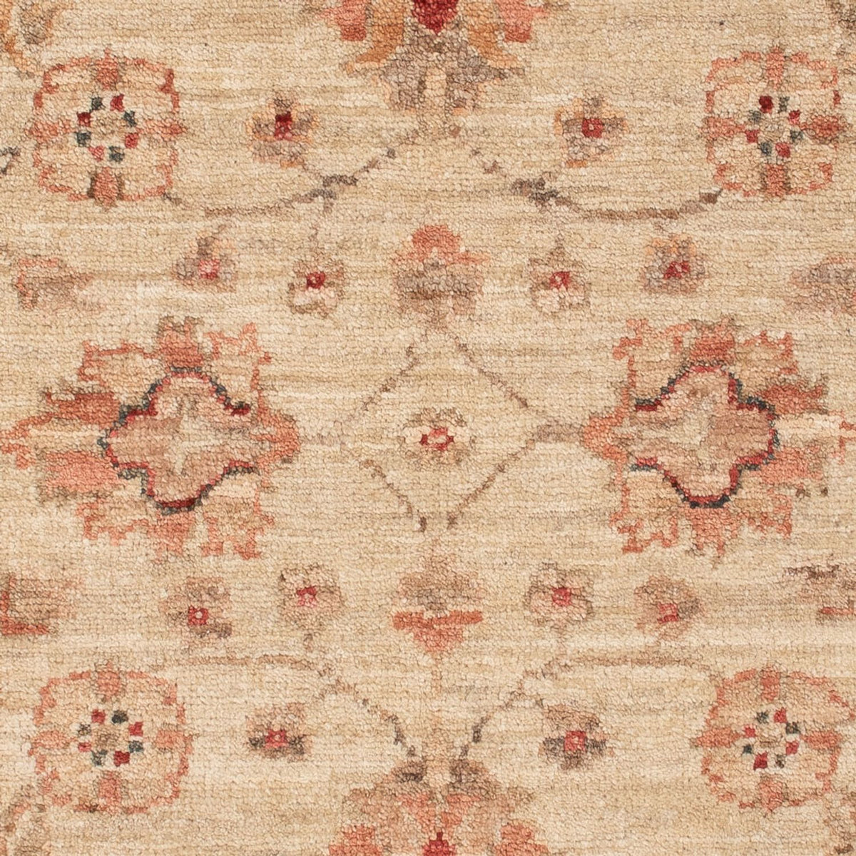 Tappeto Ziegler - 123 x 82 cm - beige
