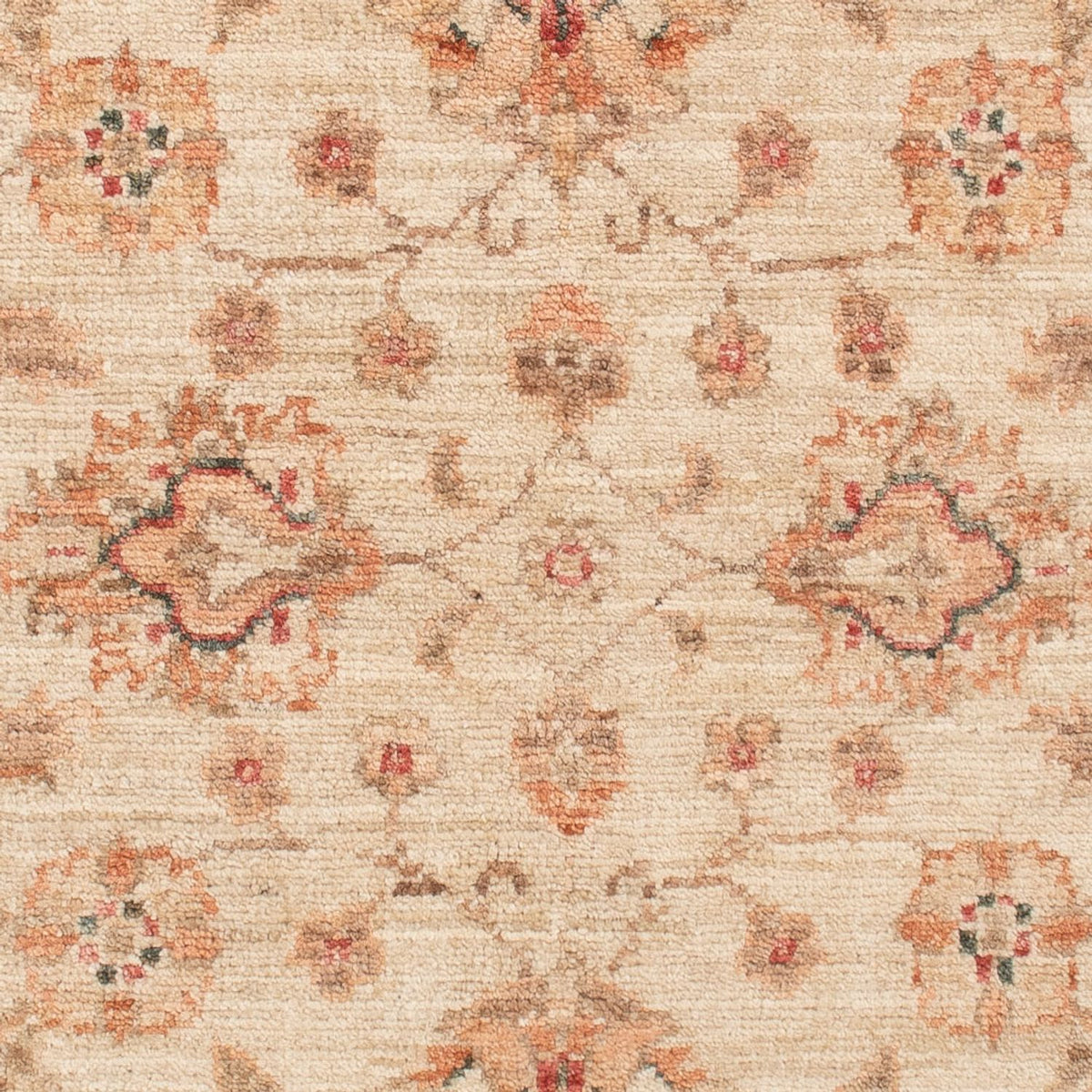 Tappeto Ziegler - 120 x 83 cm - beige