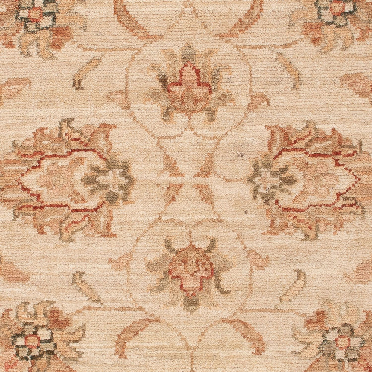 Tappeto Ziegler - 118 x 84 cm - beige