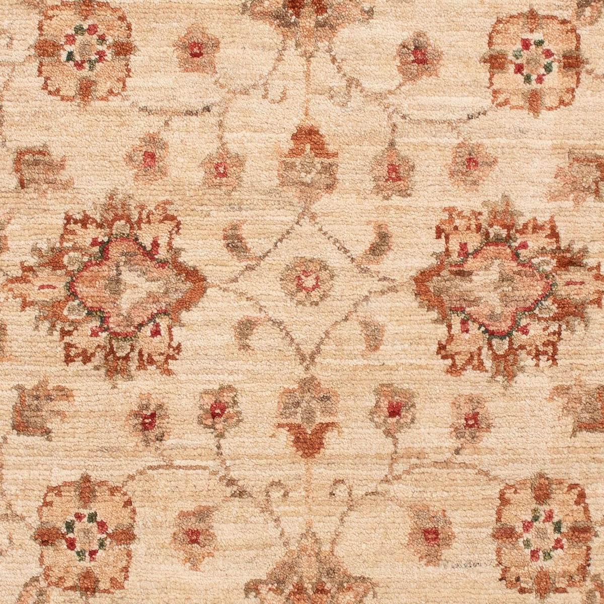 Tappeto Ziegler - 130 x 81 cm - beige