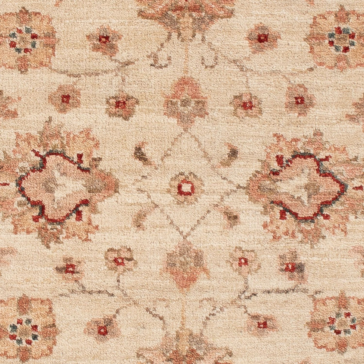 Tappeto Ziegler - 109 x 88 cm - beige