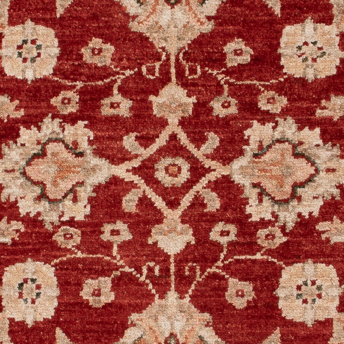 Tappeto Ziegler - 122 x 84 cm - rosso bordeaux