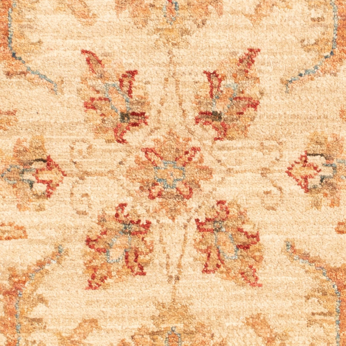 Tappeto Ziegler - 91 x 62 cm - beige