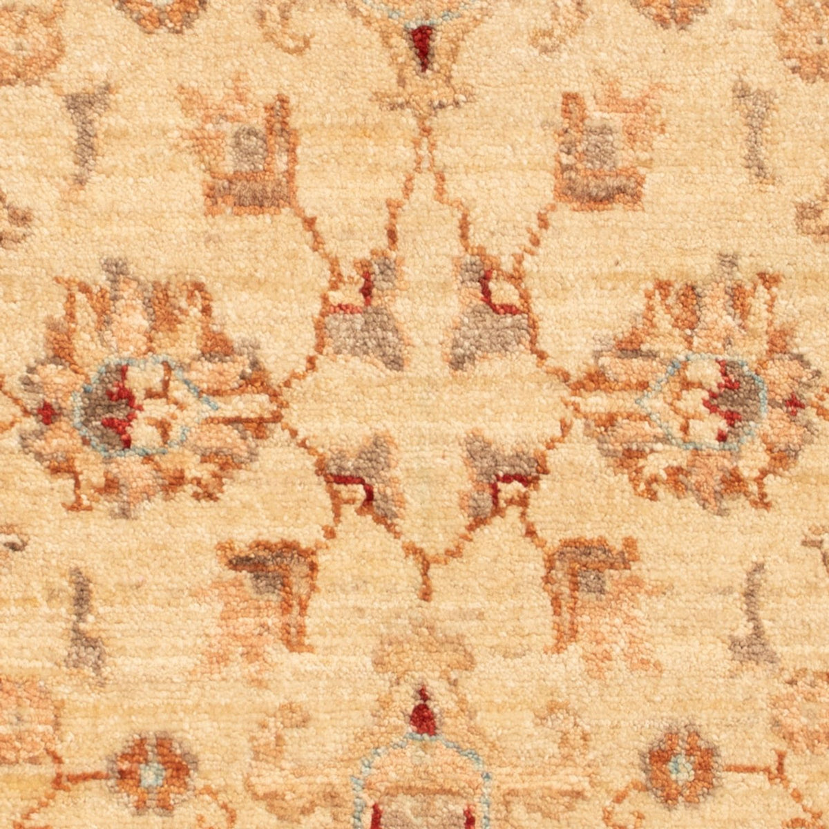 Tappeto Ziegler - 86 x 58 cm - beige