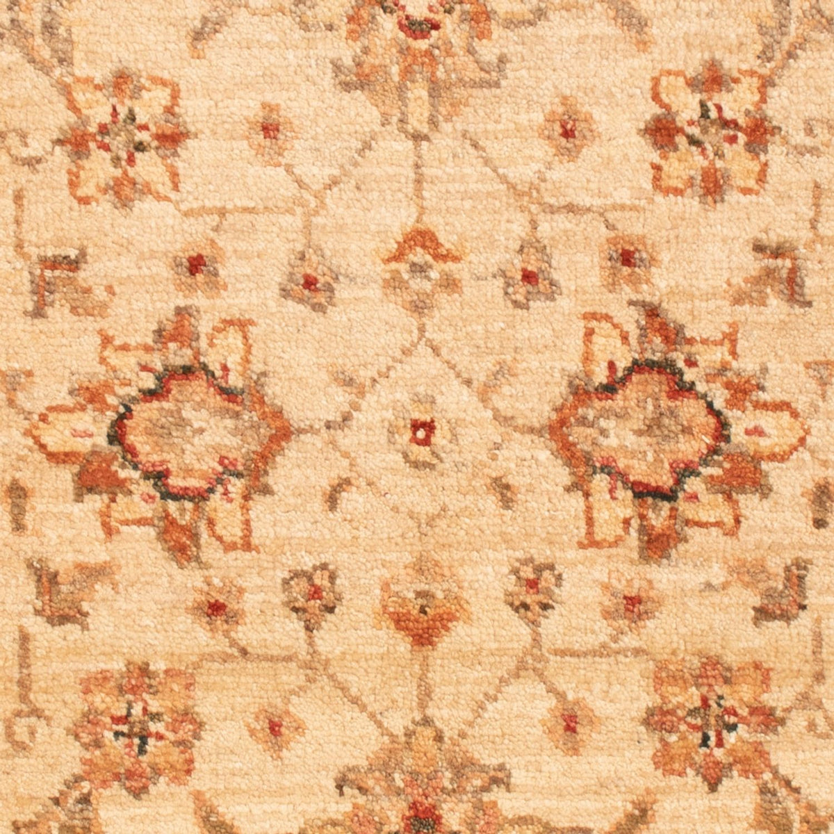 Tappeto Ziegler - 94 x 61 cm - beige
