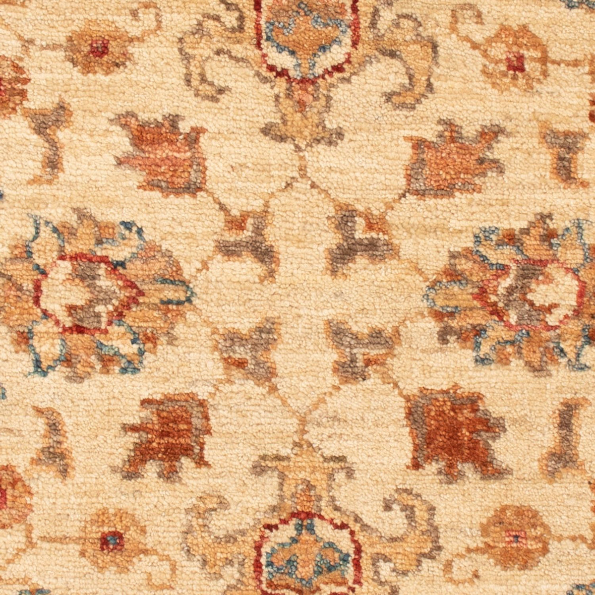 Tappeto Ziegler - 88 x 61 cm - beige