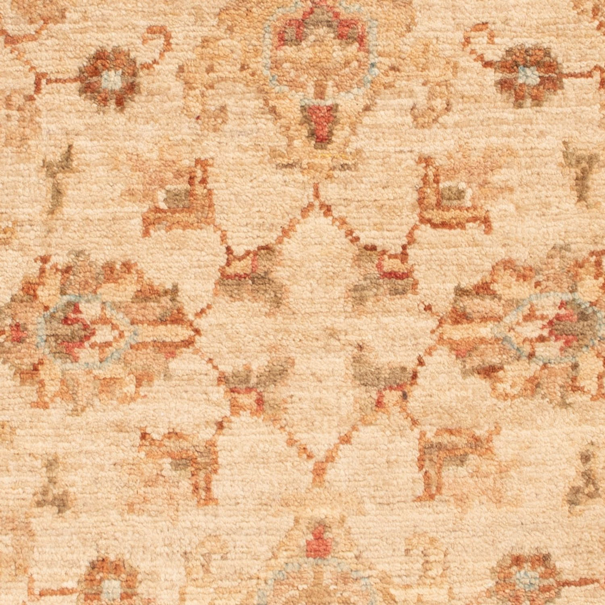 Tappeto Ziegler - 80 x 59 cm - beige