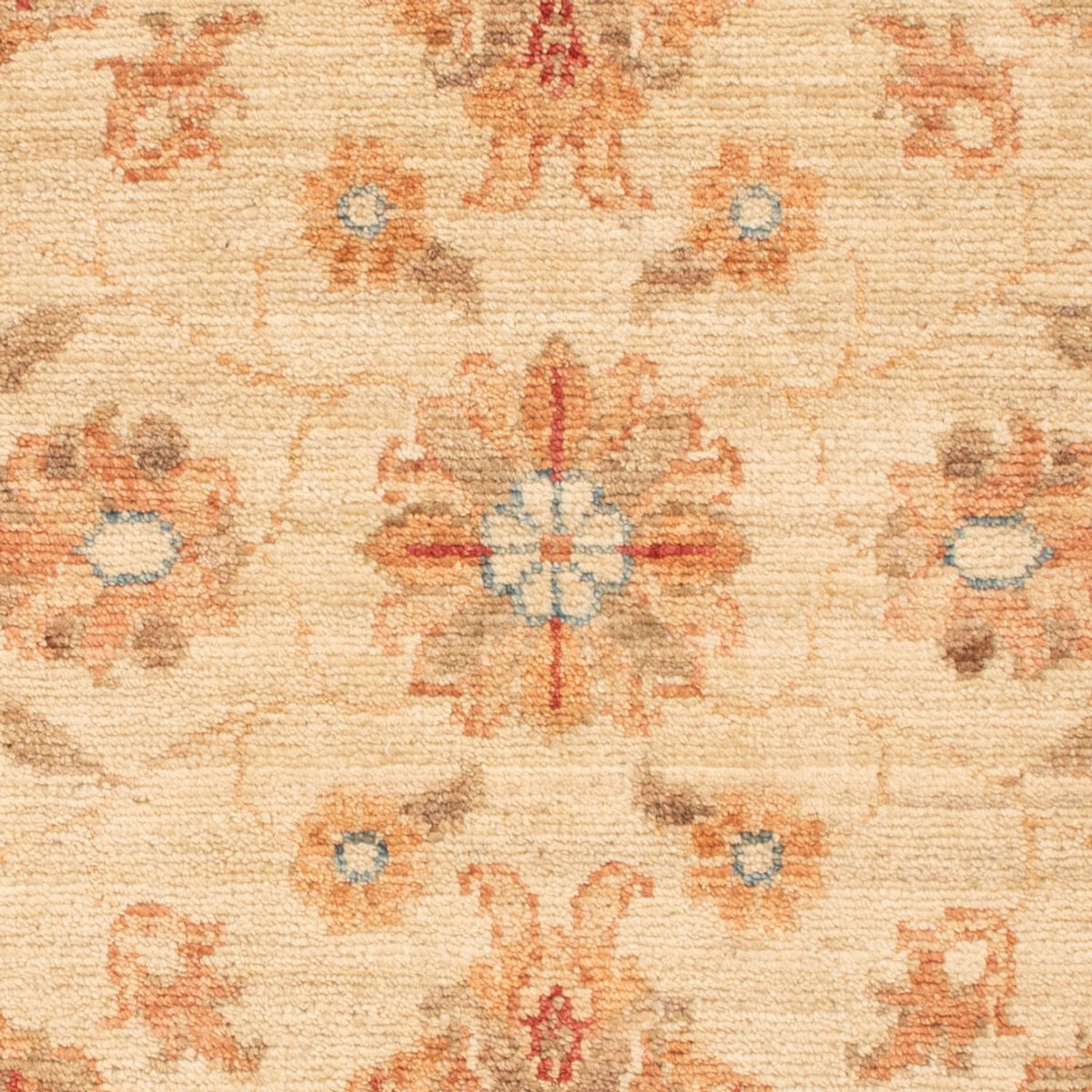 Tappeto Ziegler - 95 x 60 cm - beige