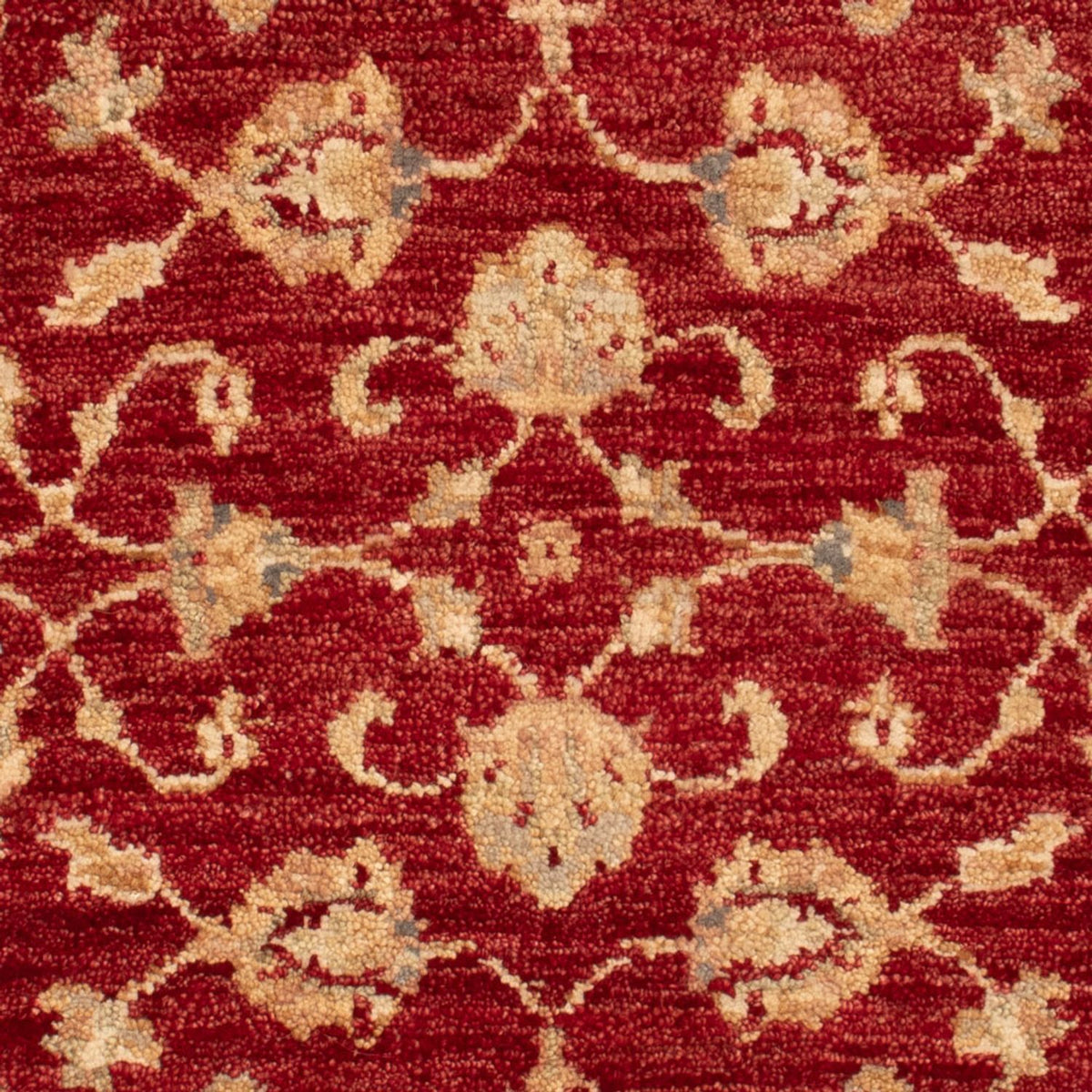 Tappeto Ziegler - 90 x 60 cm - rosso bordeaux