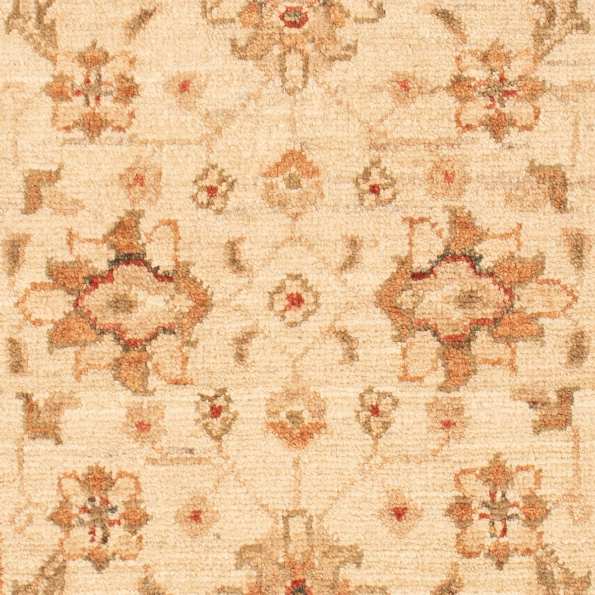 Tappeto Ziegler - 90 x 58 cm - beige