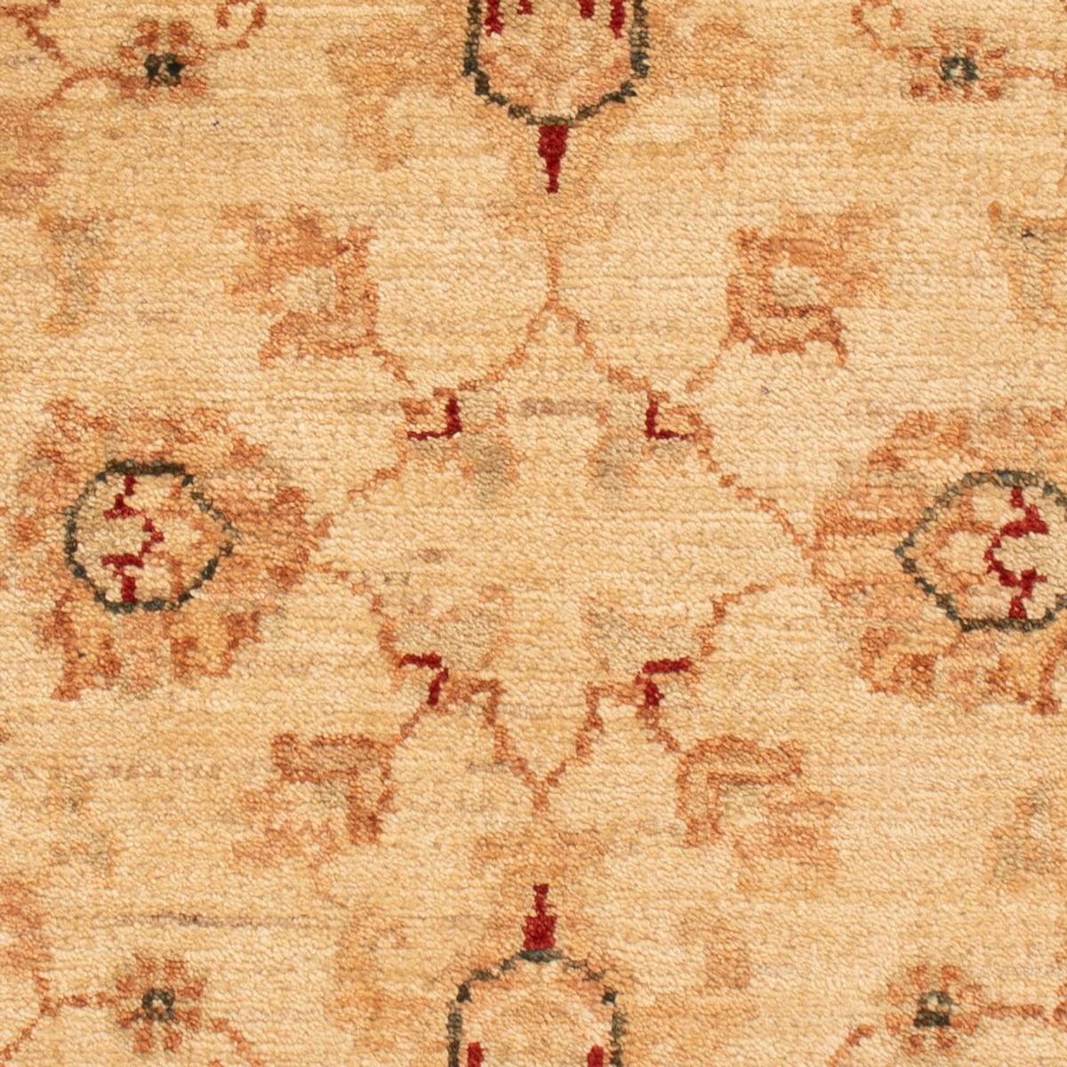 Tappeto Ziegler - 91 x 63 cm - beige