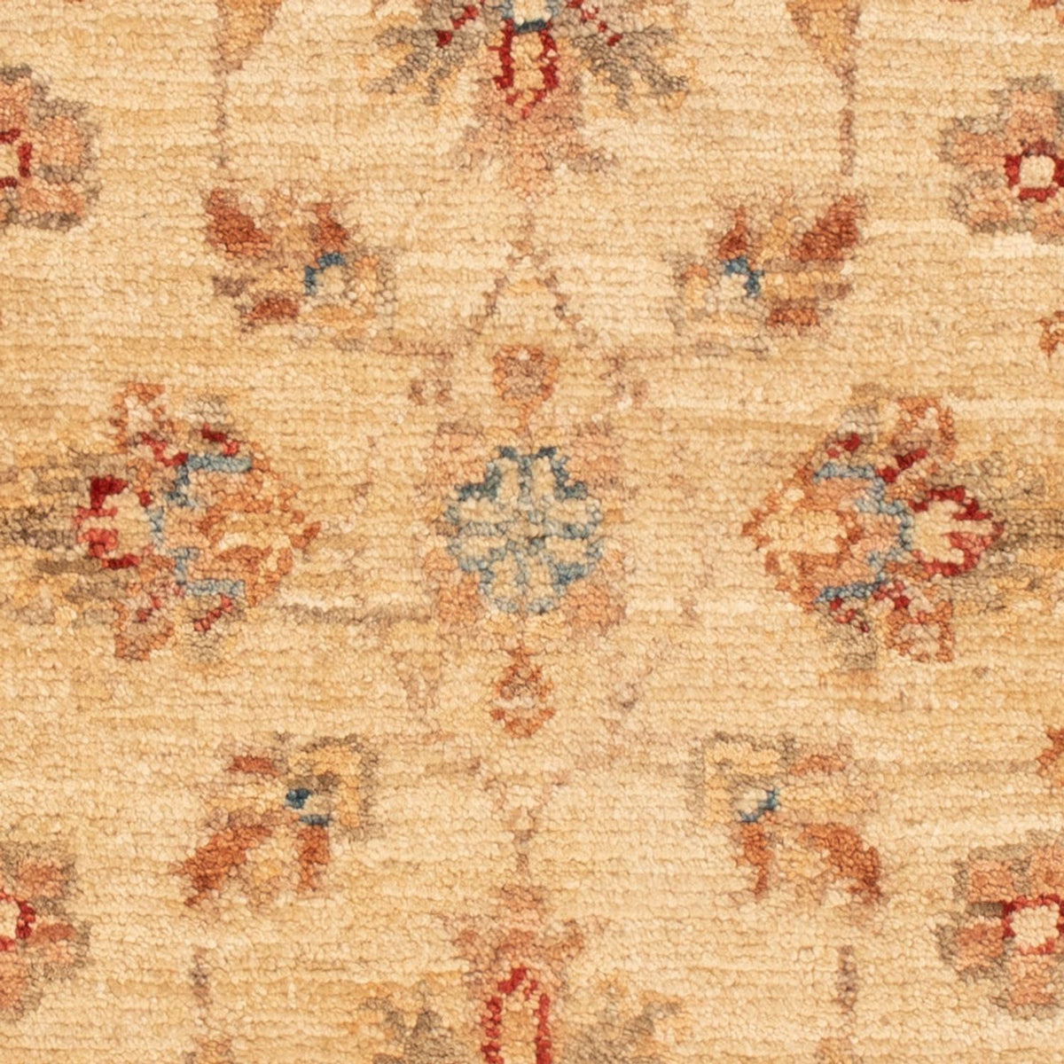 Tappeto Ziegler - 65 x 48 cm - beige