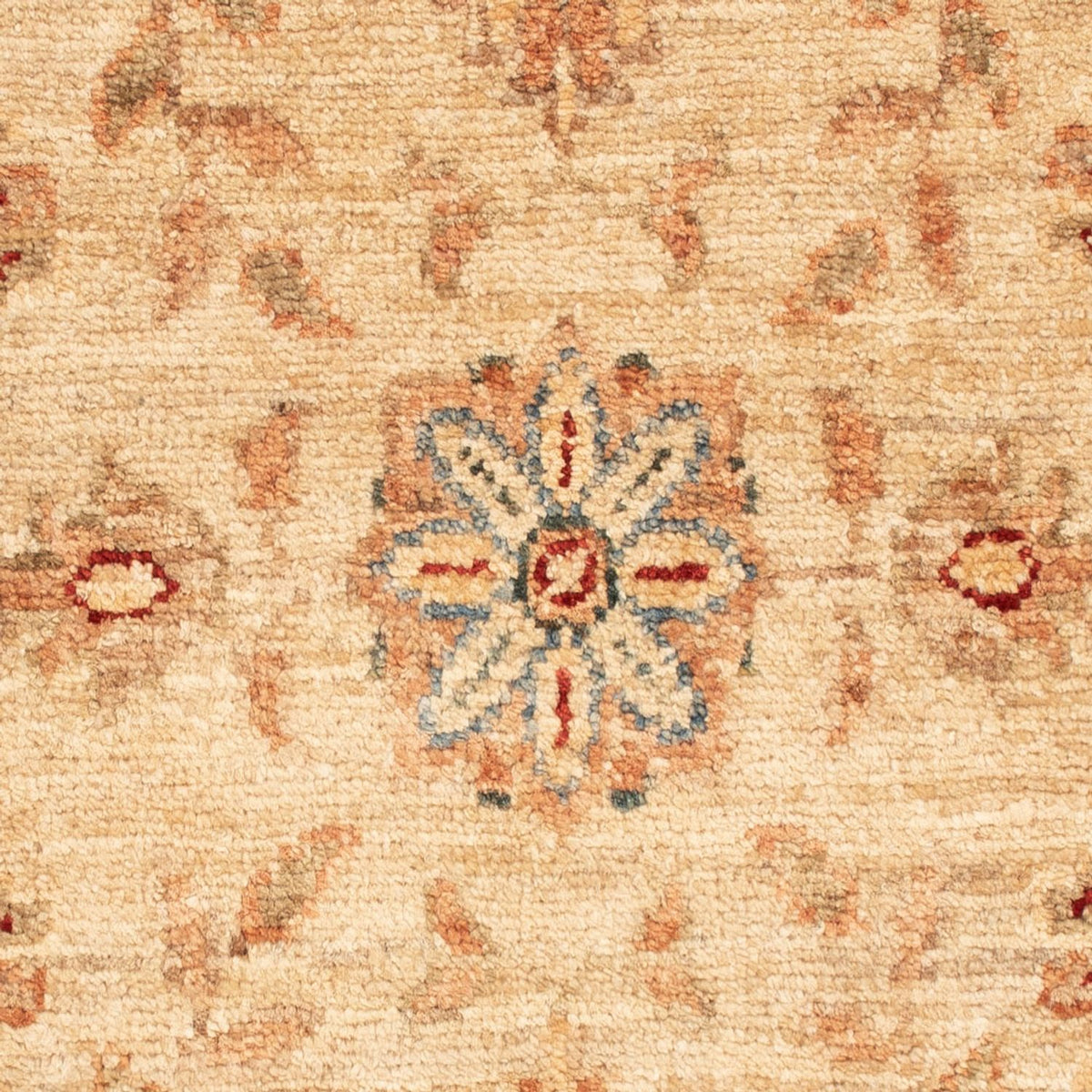 Tappeto Ziegler - 73 x 48 cm - beige