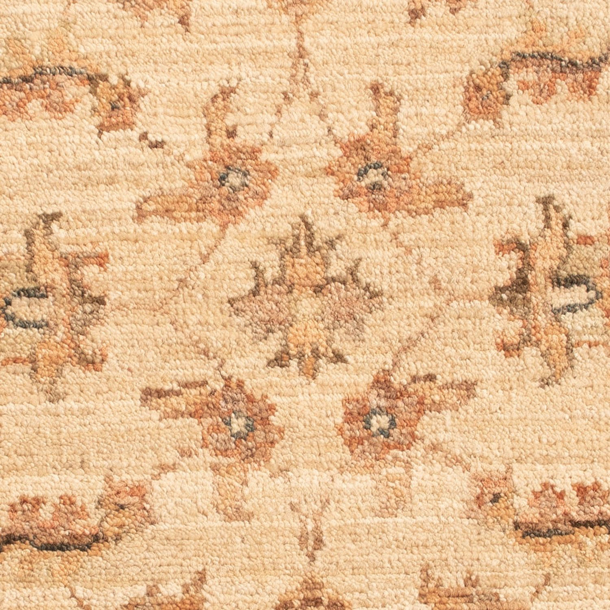 Tappeto Ziegler - 64 x 49 cm - beige
