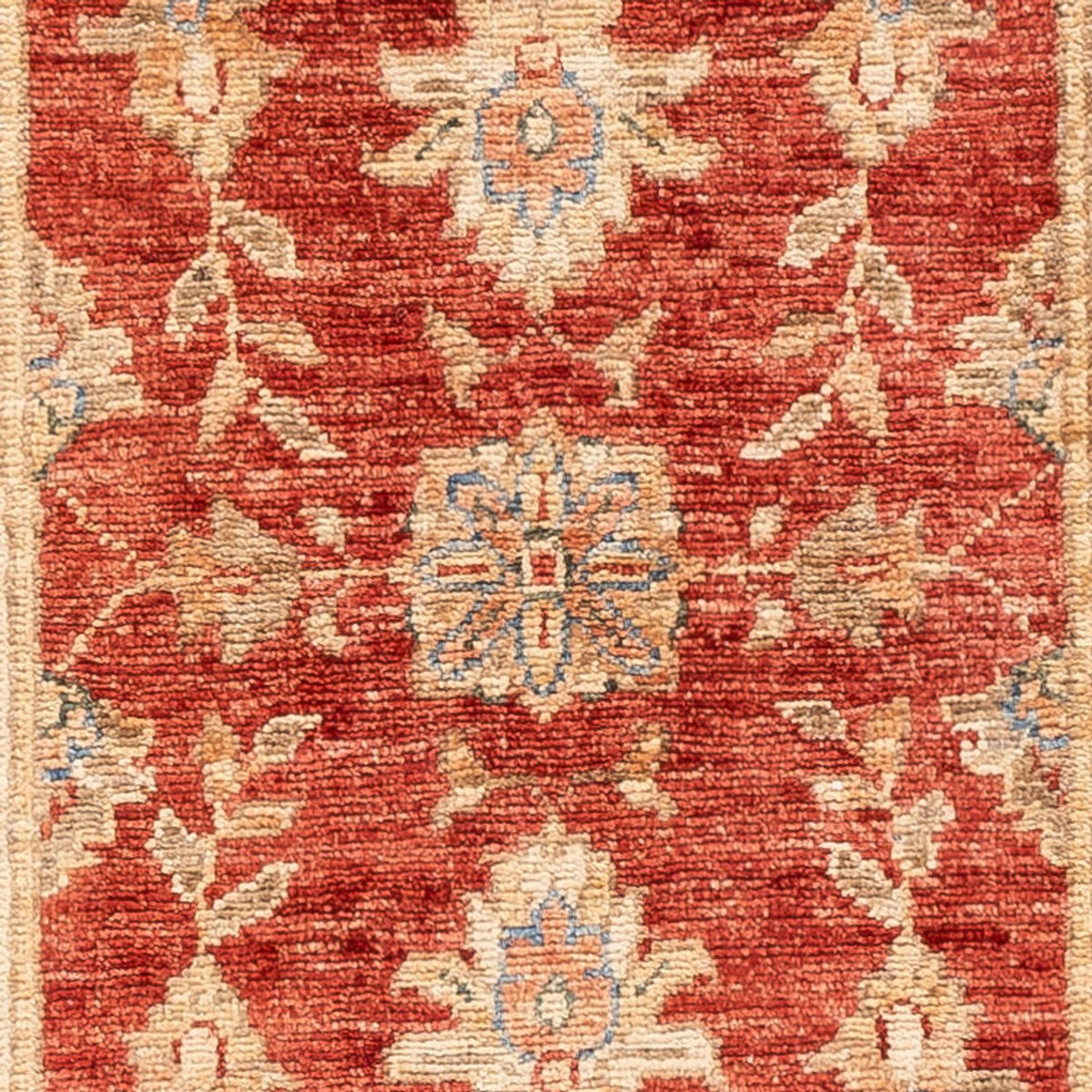 Tappeto corsia Tappeto Ziegler - 147 x 51 cm - rosso