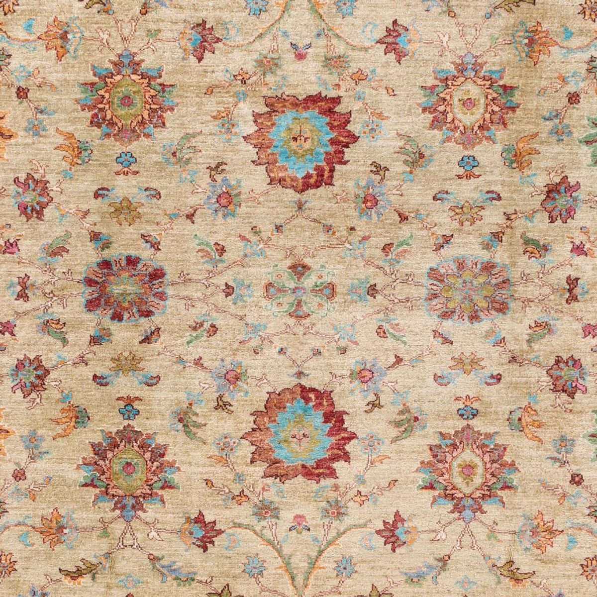 Tappeto Ziegler - Ariana - 300 x 242 cm - beige