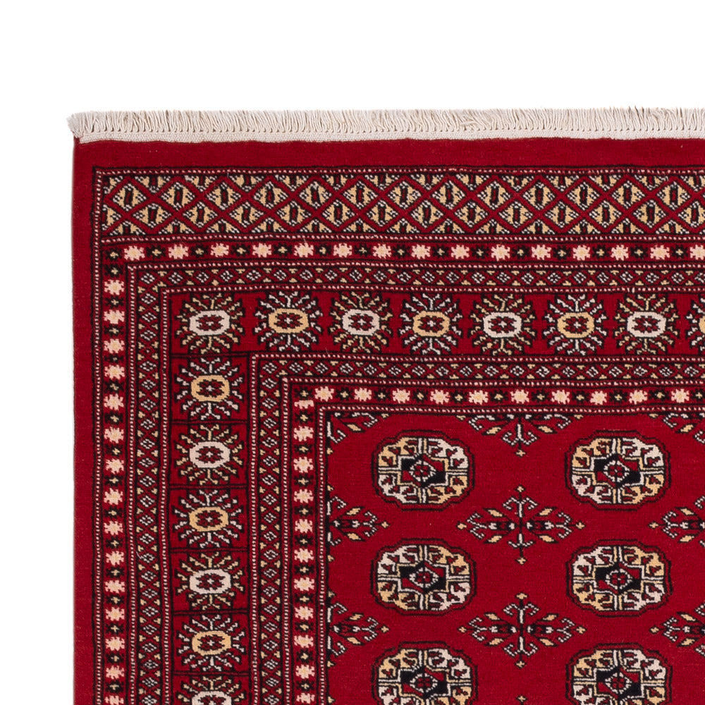 Tappeto Pakistani - 256 x 167 cm - rosso