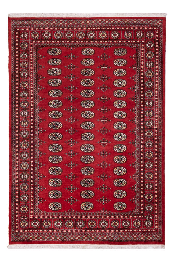 Tappeto Pakistani - 243 x 168 cm - rosso