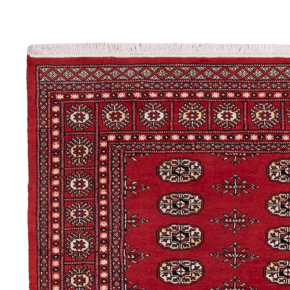 Tappeto Pakistani - 243 x 168 cm - rosso