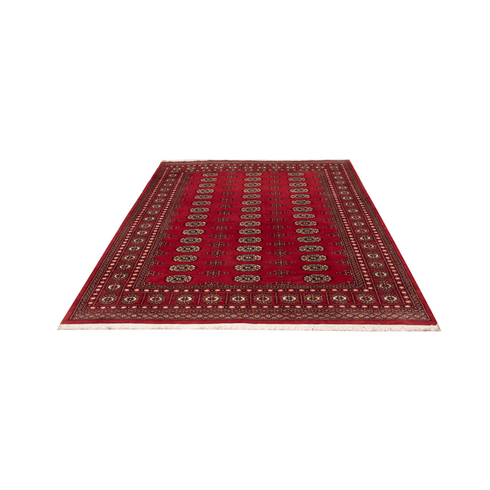 Tappeto Pakistani - 243 x 168 cm - rosso