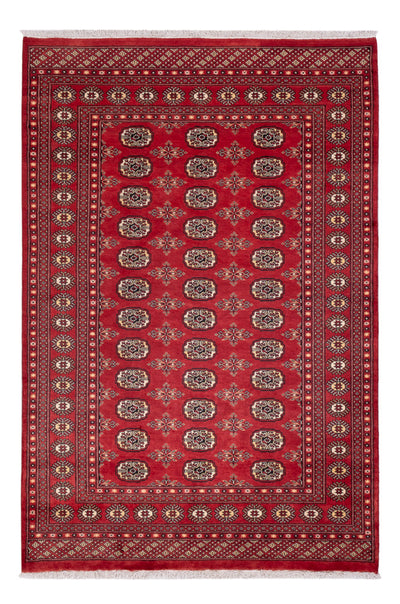 Tappeto Pakistani 158x237cm - Tappeto orientale