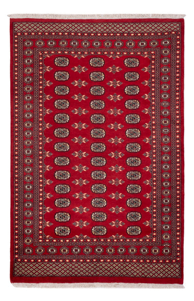Tappeto Pakistani 179x258cm - Tappeto orientale