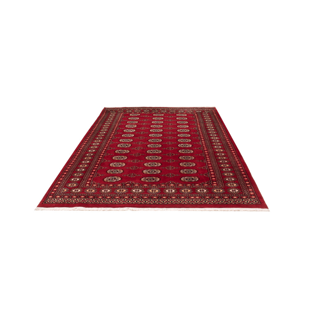 Tappeto Pakistani - 266 x 167 cm - rosso
