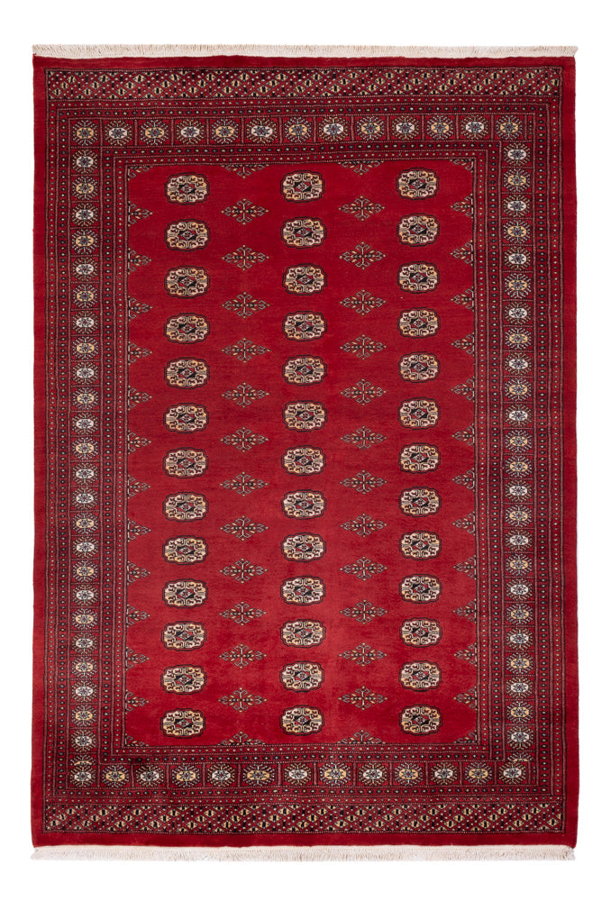 Tappeto Pakistani - 235 x 165 cm - rosso