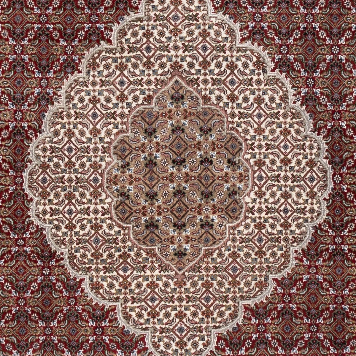 Tappeto orientale - Tabriz - 303 x 253 cm - beige scuro