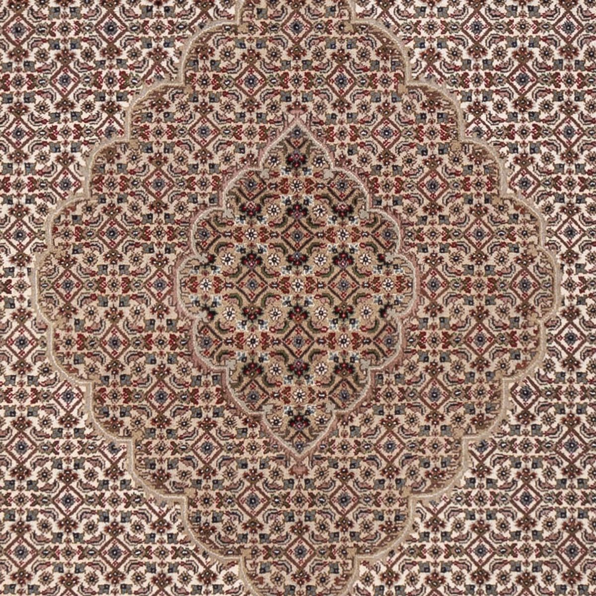 Tappeto orientale - Tabriz - 304 x 249 cm - beige scuro