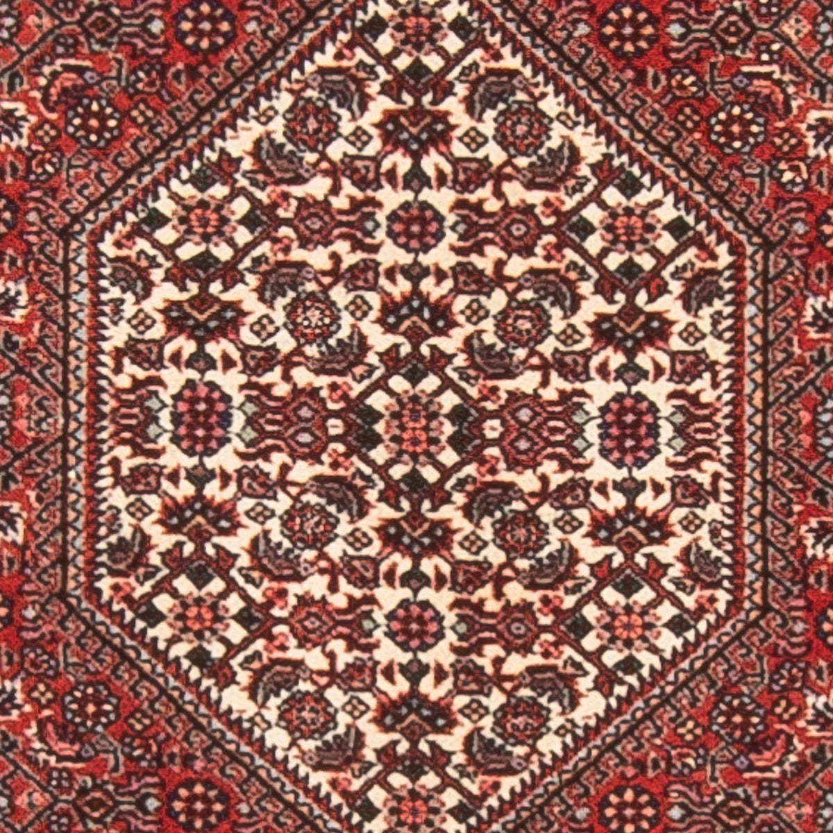 Tappeto corsia Tappeto Persero - Bidjar - 236 x 80 cm - rosso