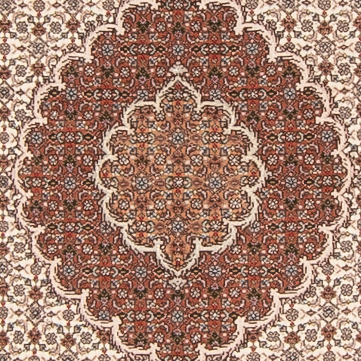 Tappeto corsia Tappeto Persero - Tabriz - Reale - 212 x 82 cm - beige