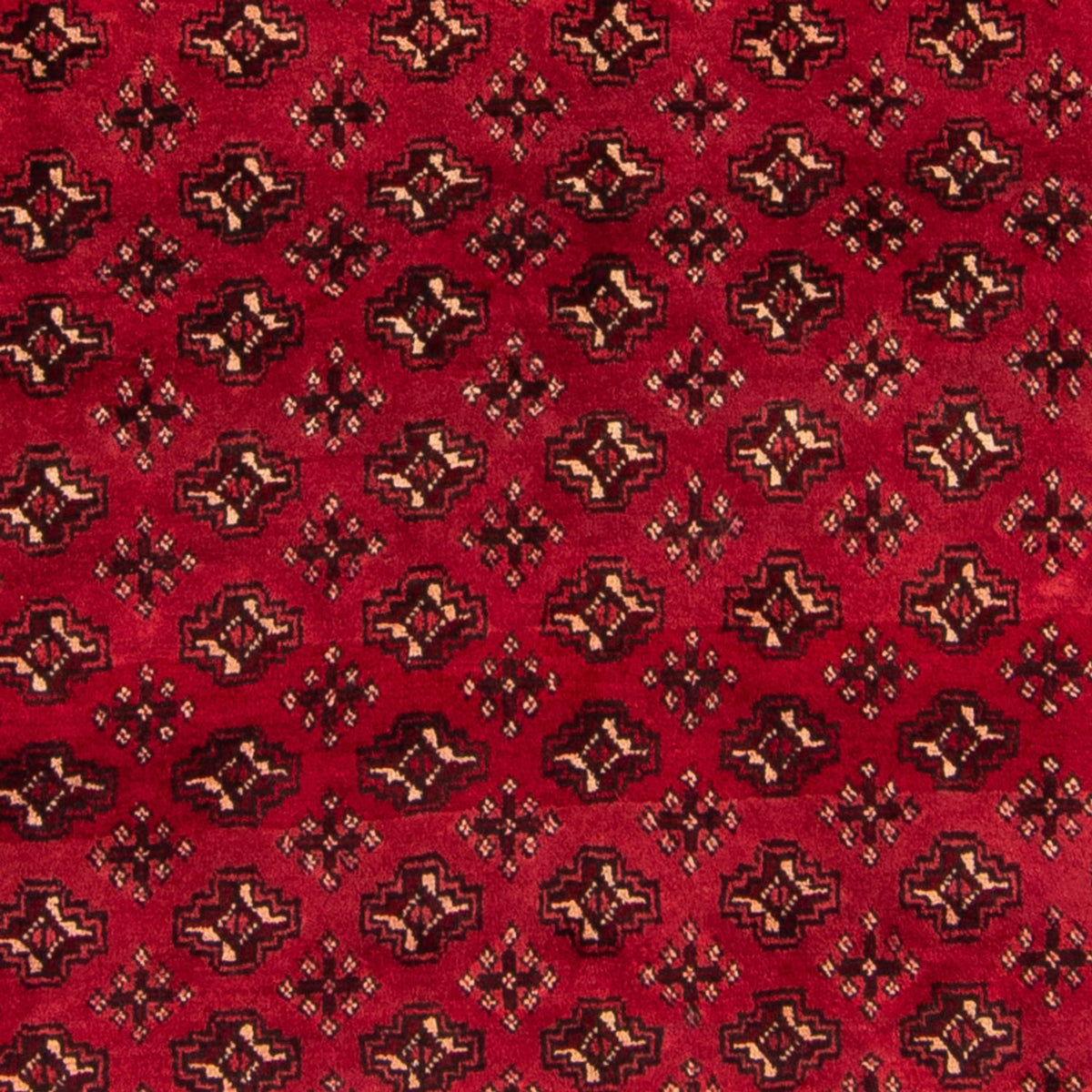 Tappeto Turkaman - 239 x 130 cm - rosso