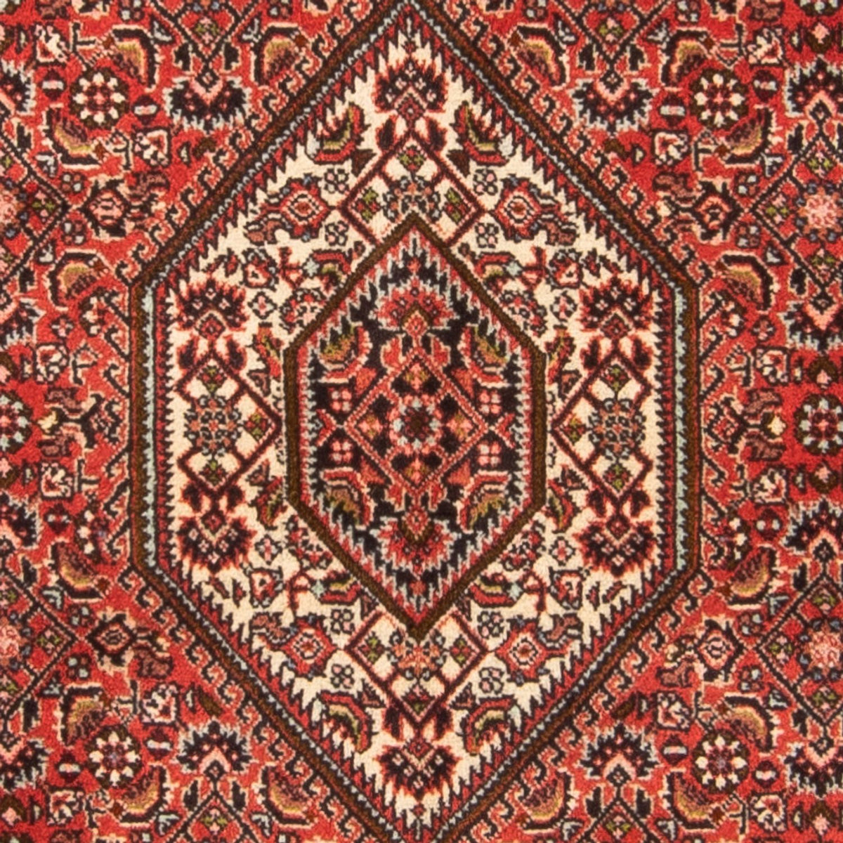 Tappeto Persero - Bidjar - 137 x 81 cm - rosso