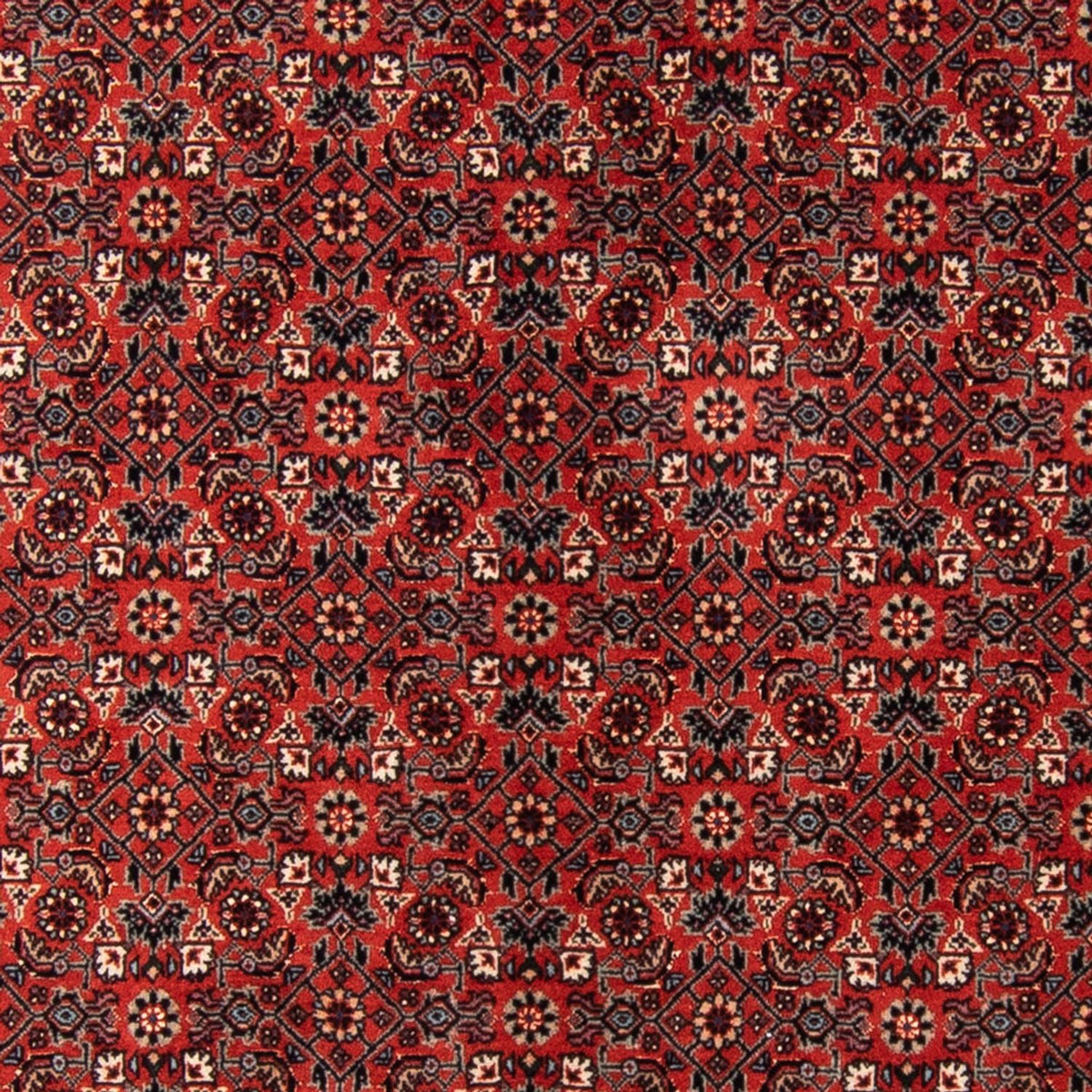 Tappeto corsia Tappeto Persero - Bidjar - 205 x 102 cm - rosso