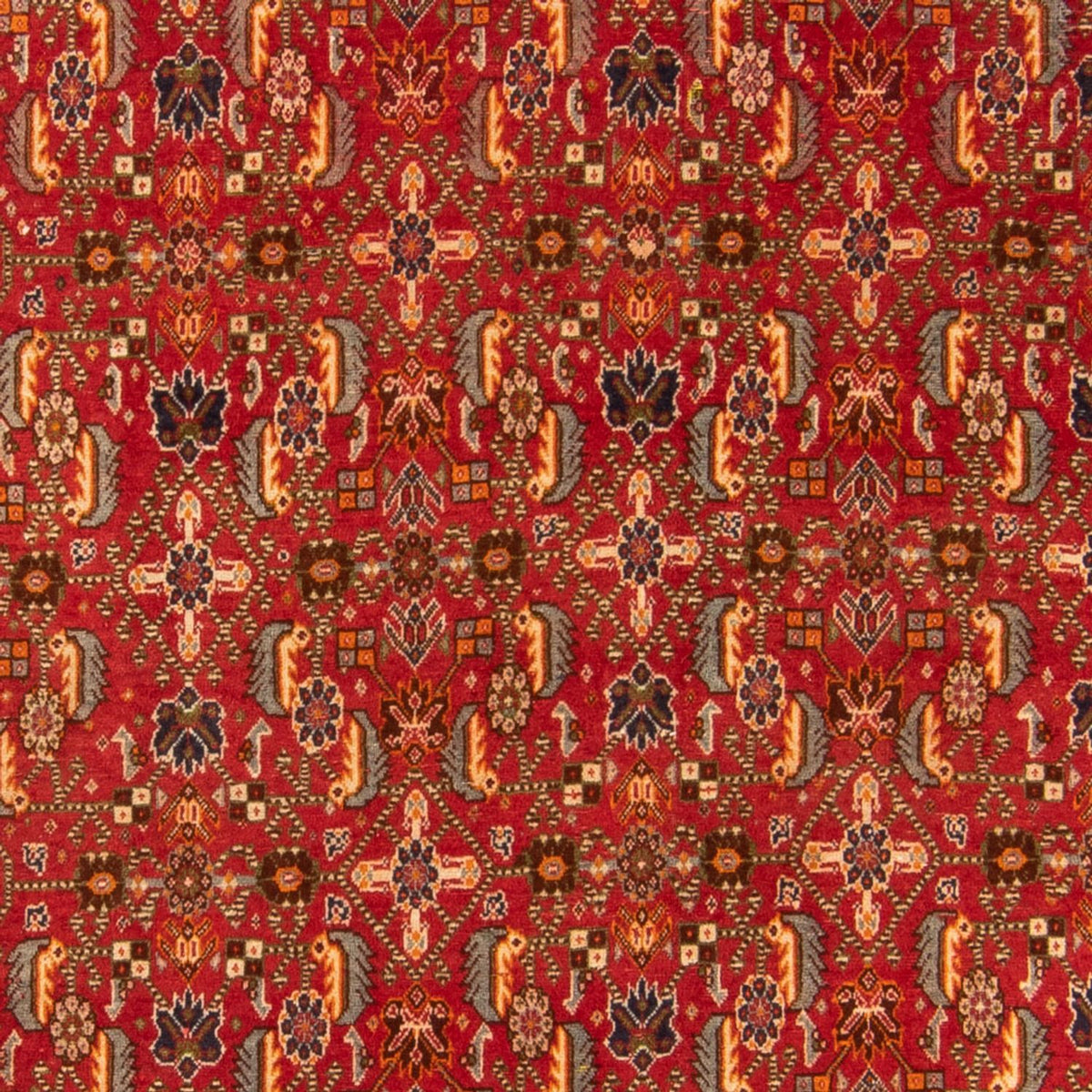 Tappeto Gabbeh - Kashkuli Persero - 192 x 130 cm - rosso