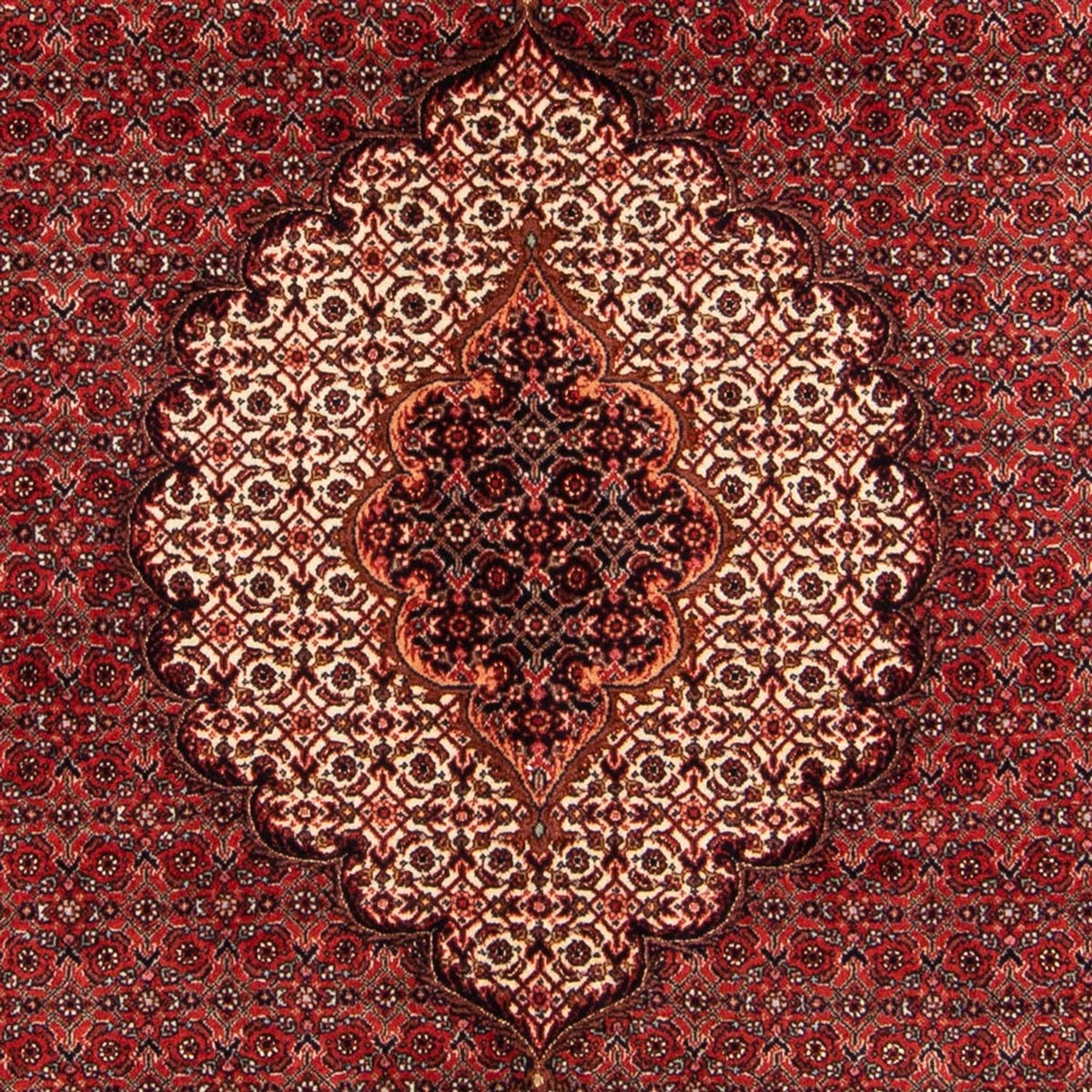 Tappeto Persero - Bidjar - 209 x 153 cm - rosso
