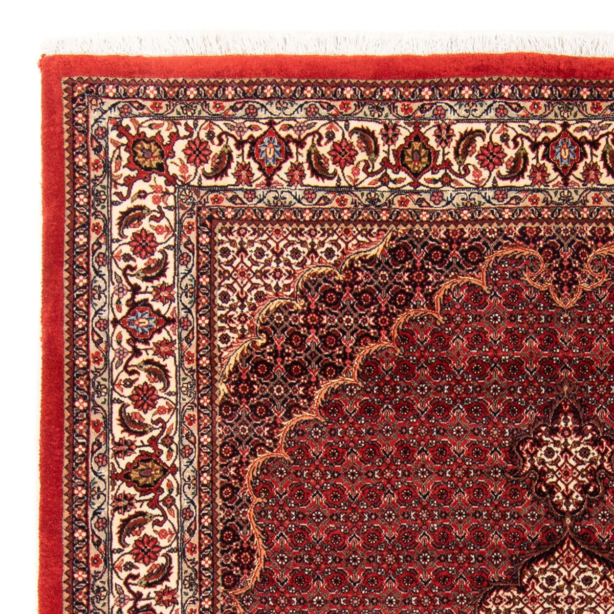 Tappeto Persero - Bidjar - 209 x 153 cm - rosso