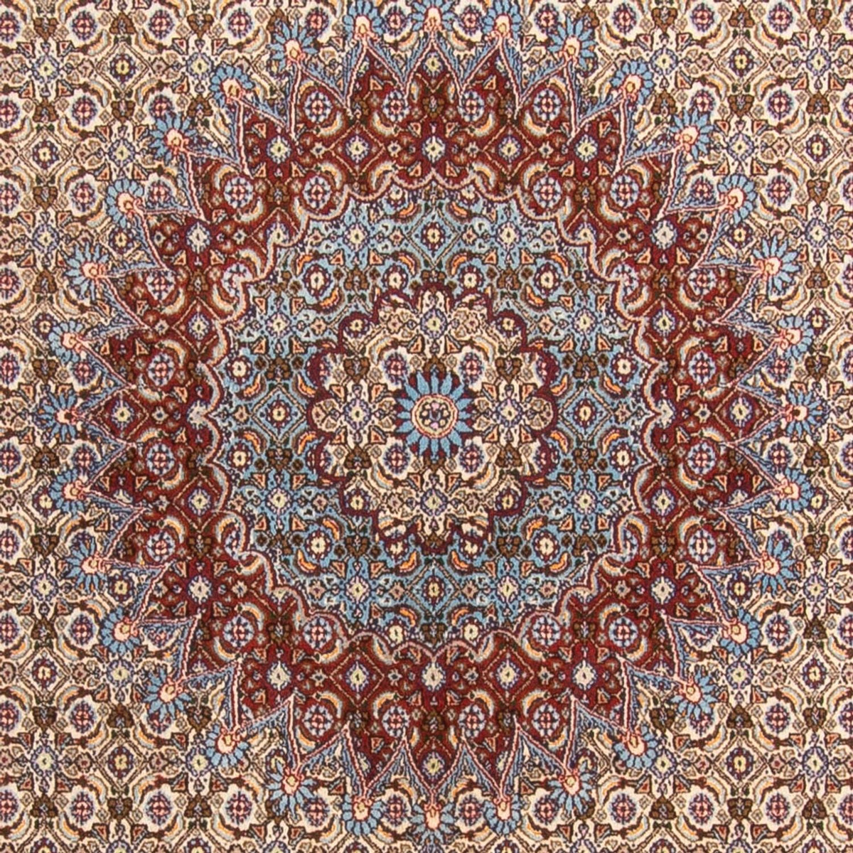 Tappeto Persero - Classico - 303 x 195 cm - beige
