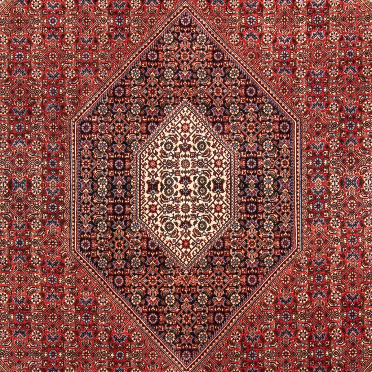 Tappeto Persero - Bidjar - 310 x 205 cm - rosso