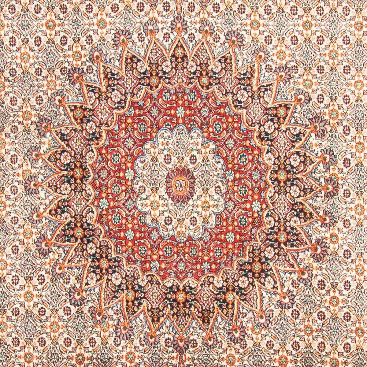 Tappeto Persero - Classico - 299 x 198 cm - beige